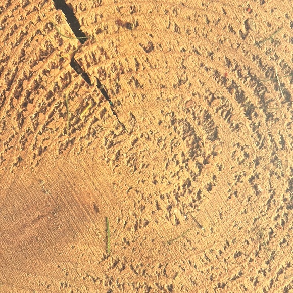 Scrapbook Paper! Wood Texture & Country Theme Backgrounds! 12x12” - Picture 10 of 17